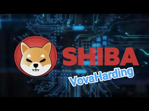 Видео: Обзор Shiba Inu 