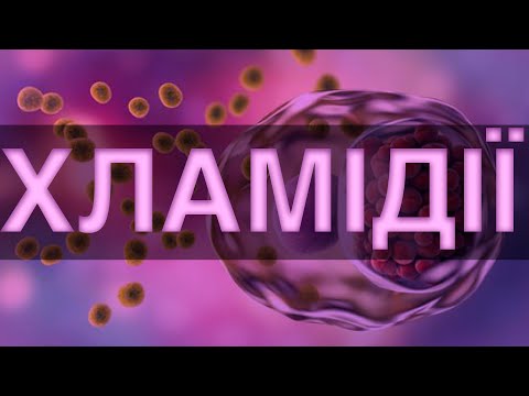 Видео: Хламідії / Chlamydia