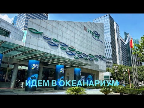 Видео: Каникулы в Шанхае! Идём в океанариум!
