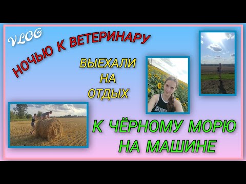 Видео: 🌞 VLOG: Ночной поход к ветеринару/ Выехали на отдых/ Дорога к Чёрному морю
