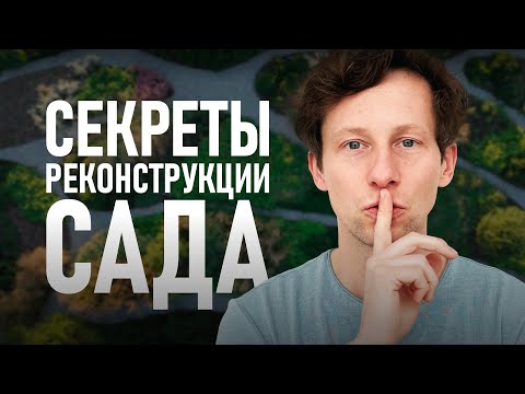 Видео: Реконструкция сада: все подводные камни