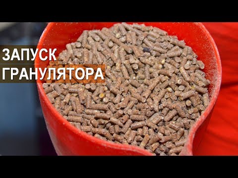 Видео: Гранулятор Дмитрия Мохова. Настройка и запуск гранулятора.