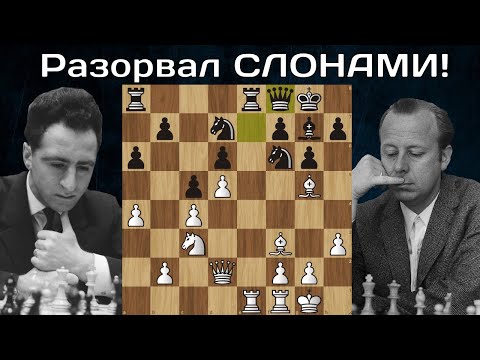 Видео: Лев со Слонами разорвали Волка 😱 Полугаевский - Ульман ♟ Шахматы
