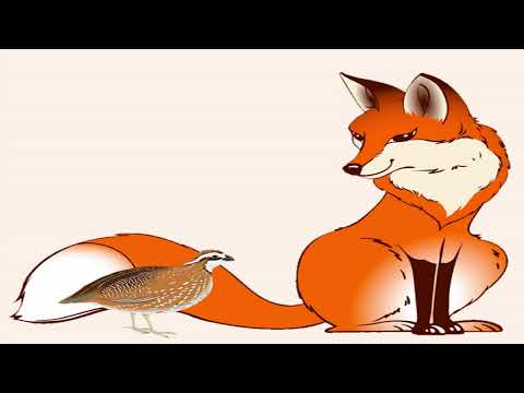 Видео: Киргизская народная сказка  "Лиса и перепел"