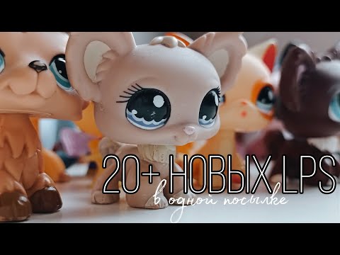 Видео: LPS: Пополнение коллекции 🌸 Новые молды