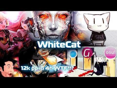 Видео: КТО ТАКОЙ WhiteCat? ЧИТЕР ИЛИ ЛЕГИТ? | ИСТОРИЯ ИГРОКА [ENG SUB]