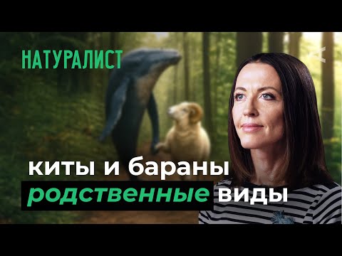 Видео: 10 глупых вопросов НАТУРАЛИСТУ