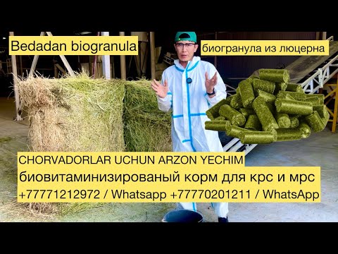 Видео: Бедадан гранула, из Люцерна биогранулы по снг  +77771212972 +77770201211 / WhatsApp