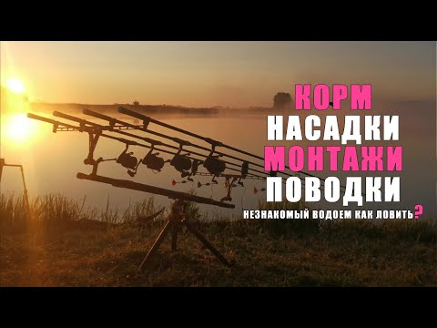 Видео: КАРПФИШИНГ. Как ловить карпа на незнакомом водоеме? Понятно о карпфишинге