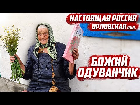 Видео: Чудо Бабушка!  | Орловская обл. Ливенский район, с.Покровка