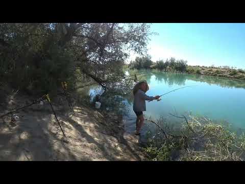 Видео: Рыбалка на Тасмурынском канале.....,