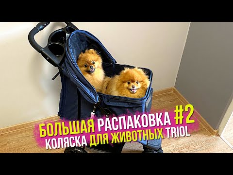 Видео: Распаковка посылки для собак #2. Коляска для животных Triol