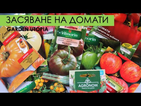 Видео: Засяване на домати | Различни сортове + Първи резултати от зимното сеене | 05.03.2023 г.