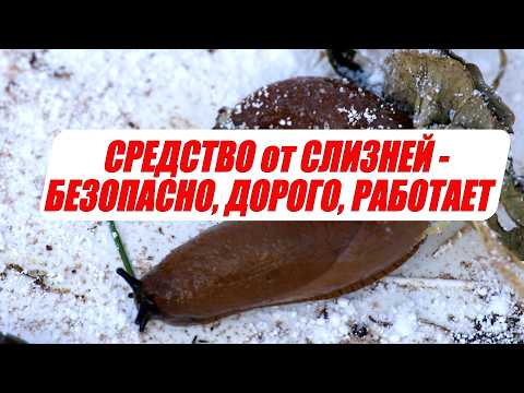 Видео: Безопасно для всех кроме слизней, дохнут за 10 с небольшим минут проверено