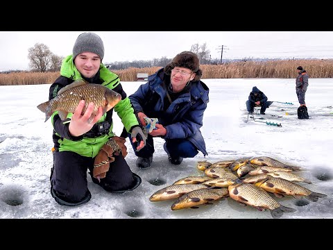 Видео: КАРАСЬ ЗИМОЙ 2024... РЫБНАДЗОР СДАЛ СТОЯНКУ КАРАСЯ!!! РЫБАЛКА на КАРАСЯ со ЛЬДА