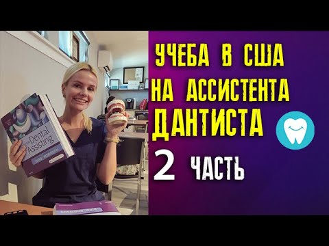Видео: Учёба на ассистента дантиста в Америке (2 часть)