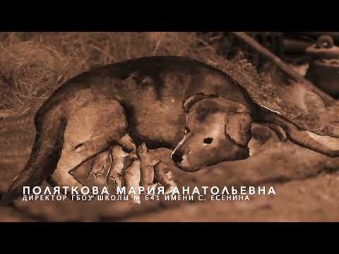 Видео: Есенин 128