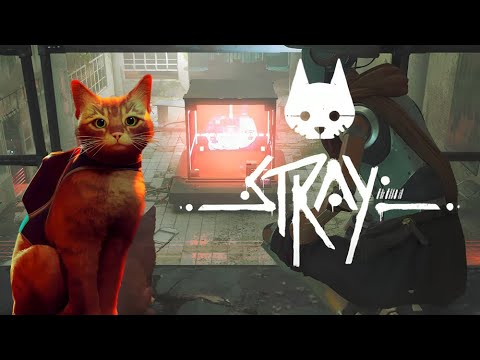 Видео: ТЮРЬМА : Stray #9