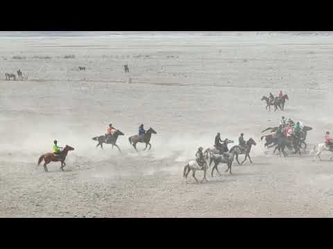 Видео: Маъракаи бузкаши дар нохияи Точикобод. 22.03.2025.охирона.Нурулло гирифт