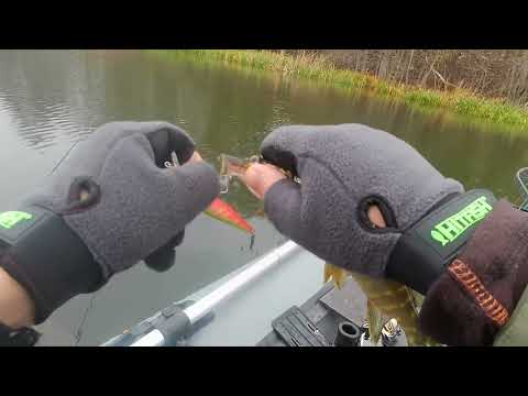 Видео: Бешеный клёв щуки на копию воблера Орбит 80.