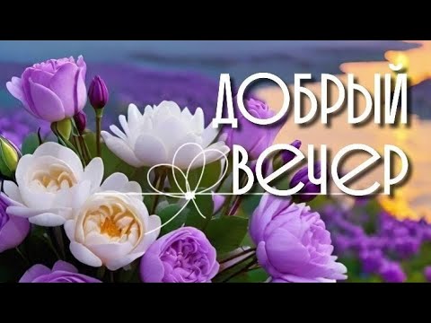 Видео: Желаю хорошего вечера 😍Пусть он будет спокойным, уютным и счастливым💜♥️💙