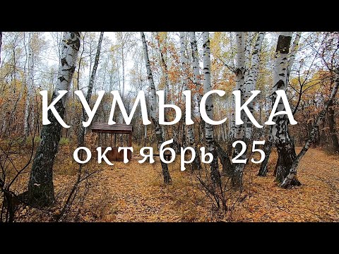 Видео: Кумыска, октябрь 25