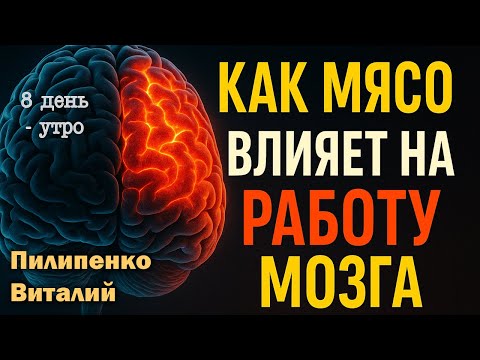 Видео: Как мясо влияет на мозг? Утреннее вдохновение 8-й день. Пилипенко Виталий