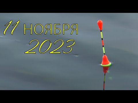 Видео: Рыбалка на поплавок 11 ноября 2023  на речке