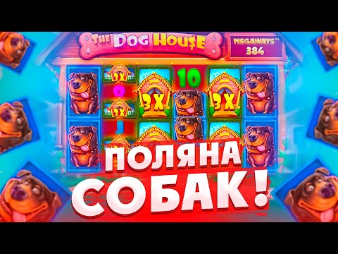 Видео: С ПОСЛЕДНИХ СПИНОВ СПОЙМАЛ БОНУСКУ ПО СТАВКЕ 300Р В THE DOG HOUSE MEGAWAYS/ МОЩНЫЙ ALL IN В КОНЦЕ!