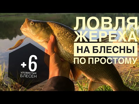 Видео: ЛОВЛЯ ЖЕРЕХА НА БЛЕСНУ | УЛОВИСТЫЕ ПРОВОДКИ И БЛЁСНЫ