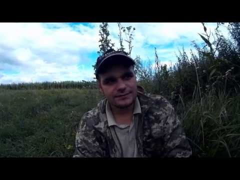 Видео: Что делать начинающему охотнику если не с кем пойти на охоту