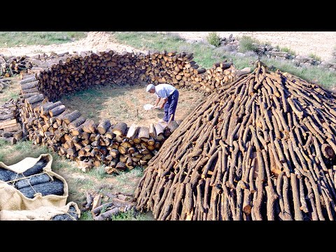 Видео: УГОЛЬ. Превращение 10000 кг дров в РАСТИТЕЛЬНЫЙ УГОЛЬ в природе | Документальный фильм