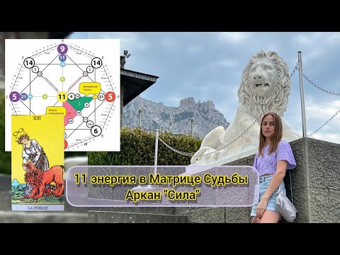 Видео: 11 энергия в Матрице Судьбы. 11 Аркан "Сила" #матрицасудьбы #таро #саморазвитие #эзотерика #магия