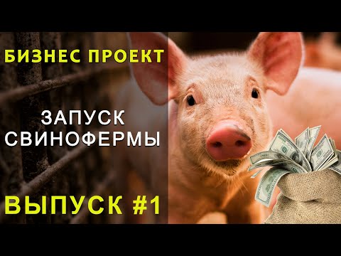 Видео: Свиньи как бизнес проект. Восстанавливаем старый свинарник и запускаем свиноферму.