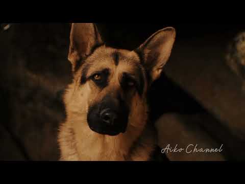 Видео: |•Дельгадо•| Клип ~Крошка из Беверли Хиллз~