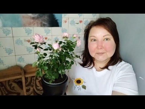 Видео: ДОЧЬ И ЗЯТЬ БЕССОВЕСТНЫЕ.Я ПРИНЯЛА РЕШЕНИЕ. 