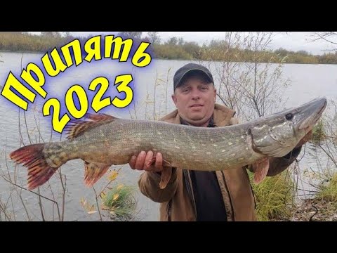 Видео: На рыбалке с друзьями.Река Припять в ноябре.Синкевичи.