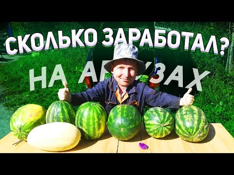 Видео: Торговля Арбузами.Сколько заработал???