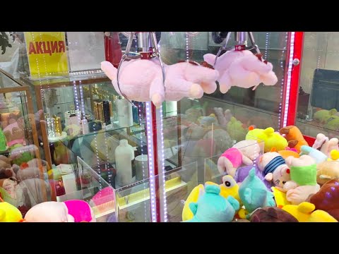 Видео: Лабубу в Хватайке? А также мега и мини Хватайки и милая лошадка ❤️ Где повезёт?