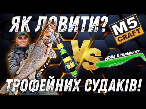 Видео: ОСІННІЙ МОНСТР! Як ловити трофейного судака — судак на 5.8 кг!
