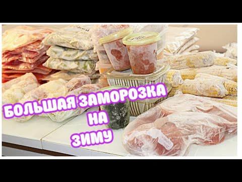 Видео: БОЛЬШАЯ Сезонная ЗАМОРОЗКА! Что я Заготавливаю и как Храню