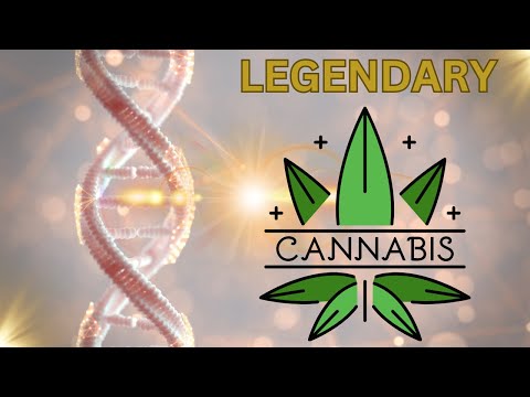Видео: ЛЕГЕНДАРНАЯ ГЕНЕТИКА, КОТОРУЮ ВАМ НУЖНО ЗАПЕЧАТАТЬ!