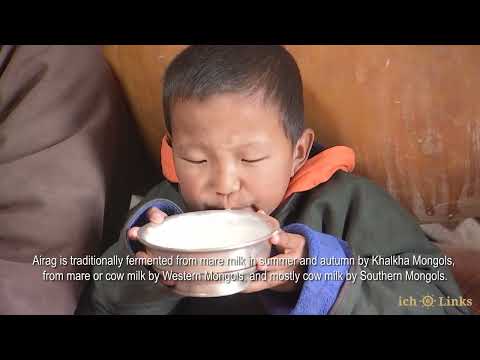 Видео: Хөхүүрийн айраг исгэх уламжлал, холбогдох зан үйл (2019 он)