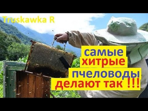 Видео: #пчёлы. И соты старые поменяем, и расплода больше будет, и мёд соберём. И всё за один хитрый приём