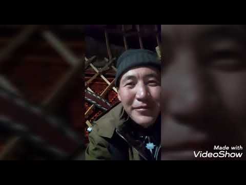 Видео: 2 июля 2025 г.