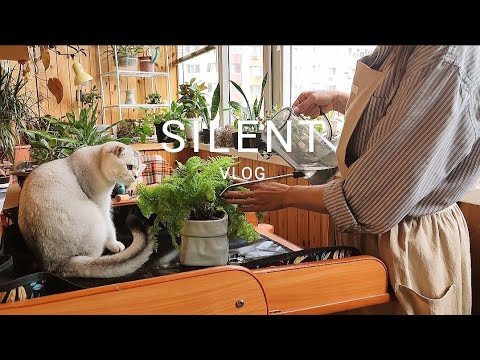 Видео: VLOG🩷 Уход за комнатными растениями🌿Тихий влог I Уютная осенняя прогулка🍂🐿️