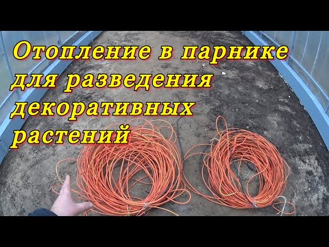 Видео: Отопление в парнике для размножения декоративных растений - туя, можжевельники, кипарисы и т.д.