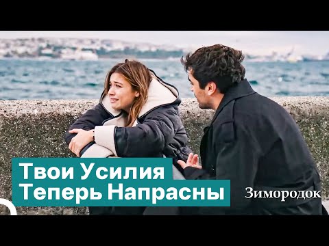 Видео: Обратного Пути Нет После Этого Разрыва | Зимородок