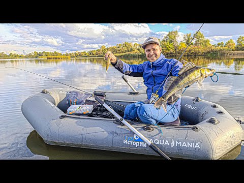 Видео: ОСІННІЙ СПІНІНГ 🐟 на затоці річки Дніпро, на силіконові приманки!