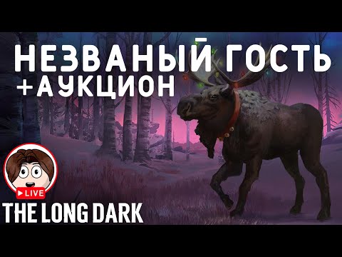 Видео: Незваный Гость в The Long Dark +Аукцион